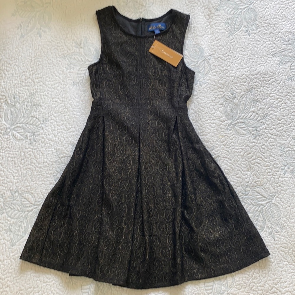 Francesca’s minidress